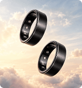 theera Forest — two rings on pedestal